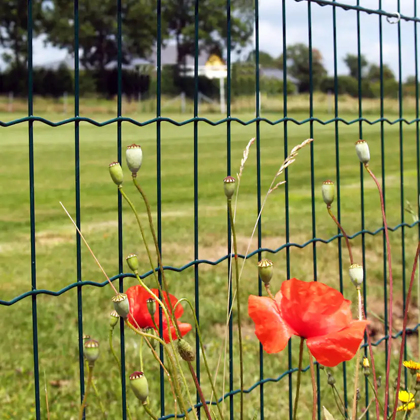 Stängsel Hortus Grönt 20x0,9 m Med Maskor 10x10 cm