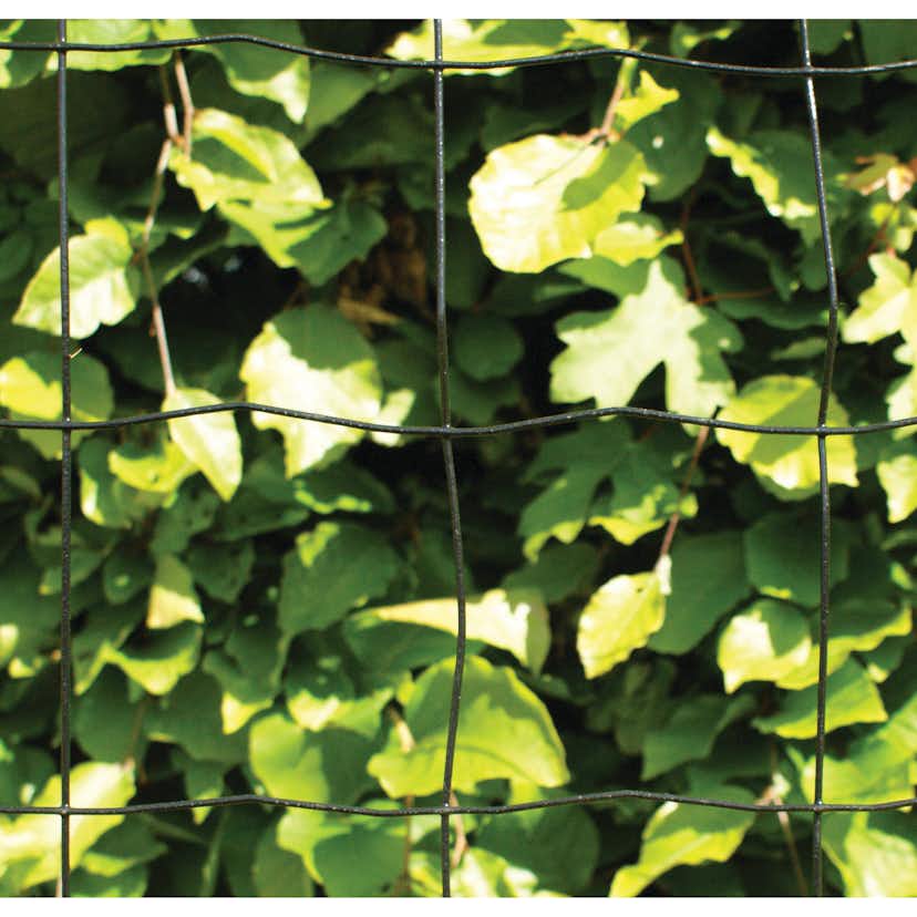 Stängsel Hortus Svart 20x0,9 m Med Maskor 10x10 cm