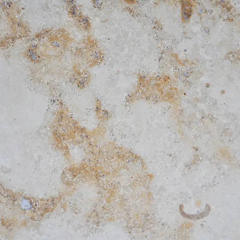 Kalksten Italian Marble Jura Beige Slipad 31x61 cm