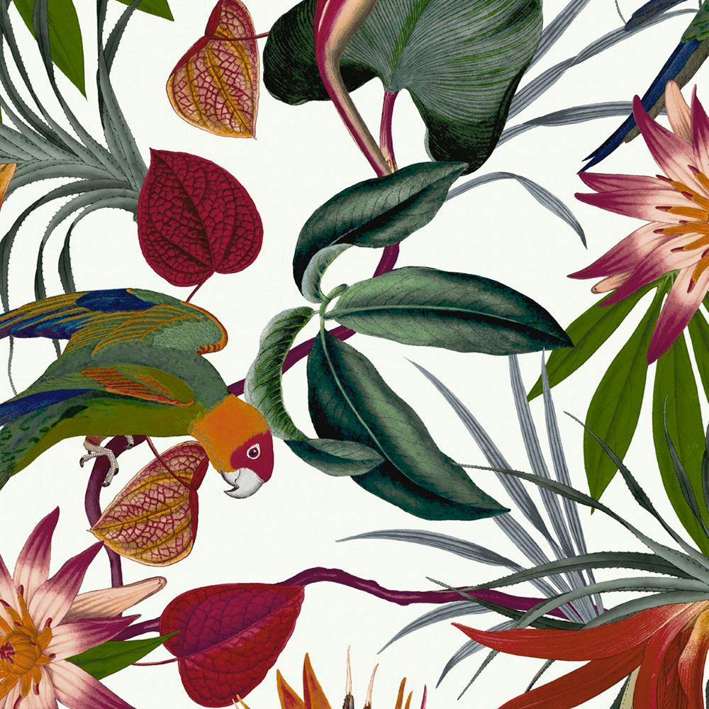 Tapet Superfresco Easy Papegoja Mångfärgad