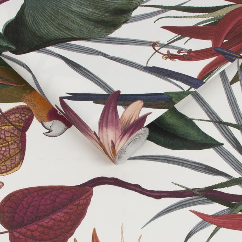 Tapet Superfresco Easy Papegoja Mångfärgad