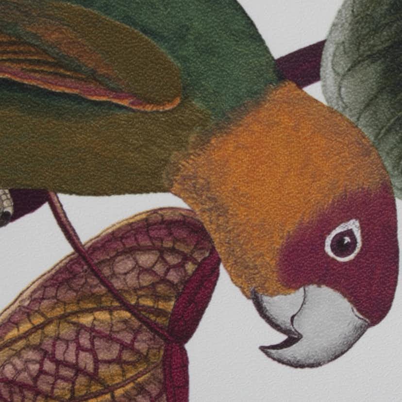 Tapet Superfresco Easy Papegoja Mångfärgad