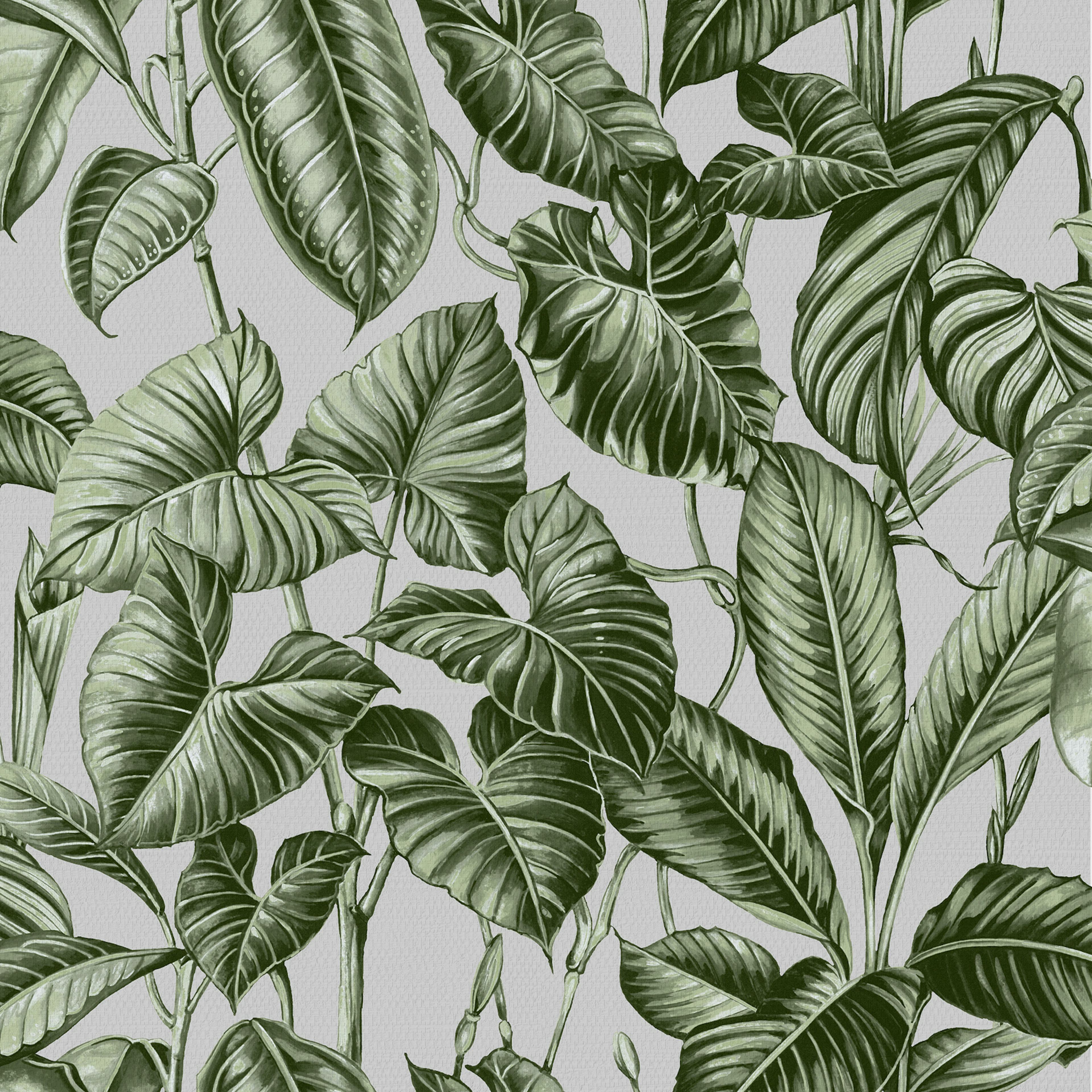 Tapet Superfresco Easy Noani Grön