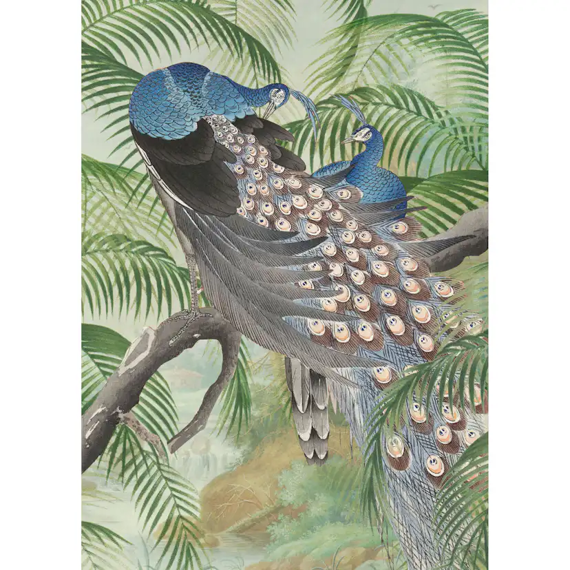 Fototapet Art for the Home Påfågel