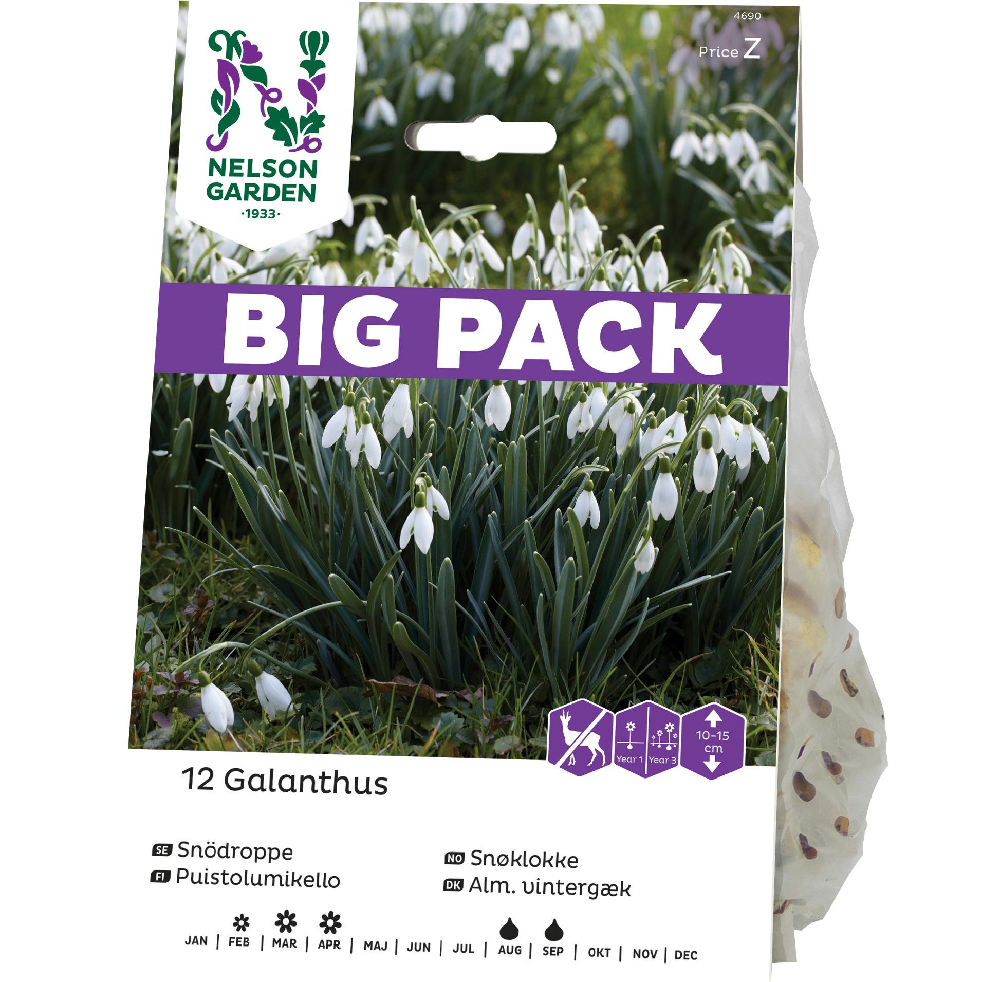Snödroppe Nelson Garden Galanthus Nivalis Vit Big Pack
