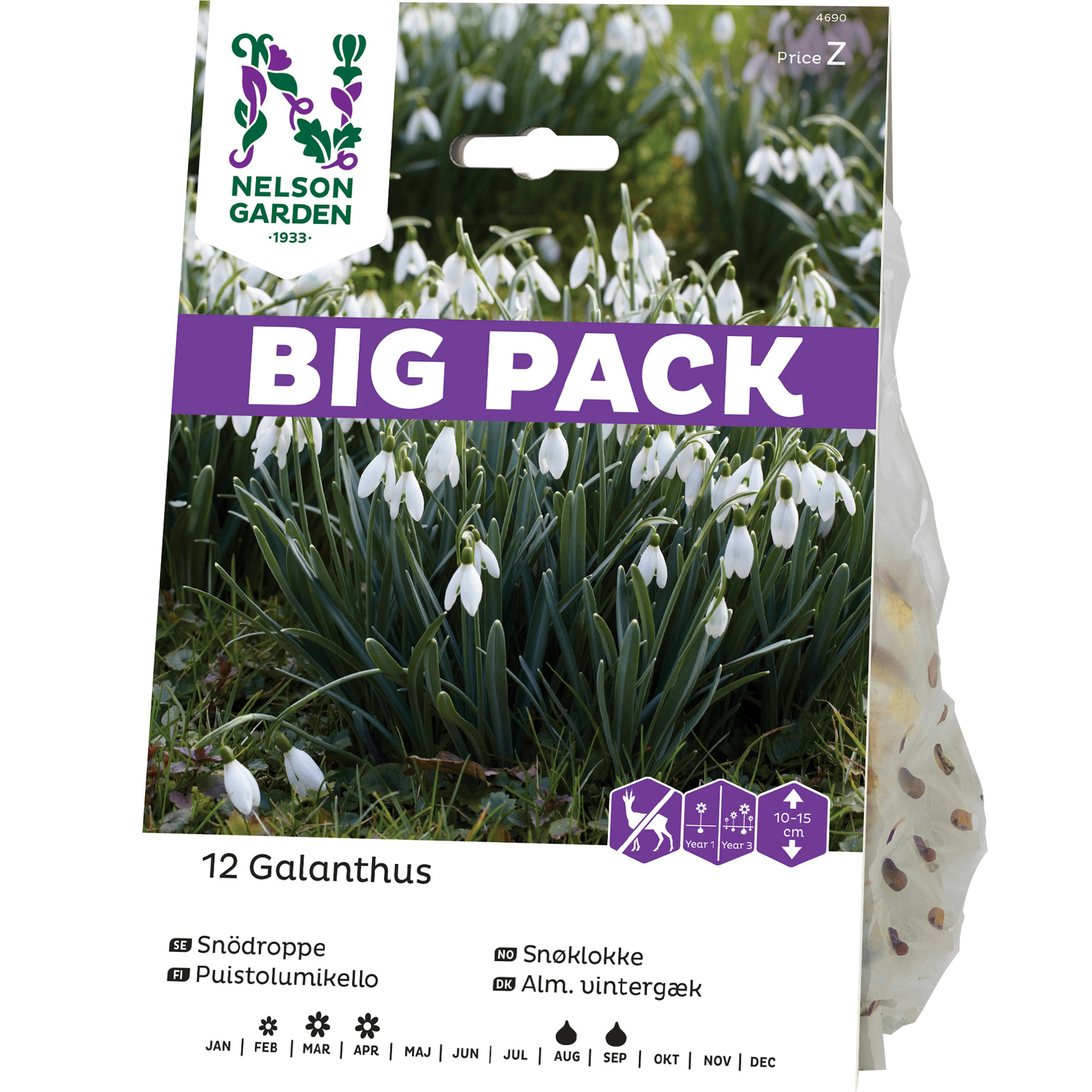 Snödroppe Nelson Garden Galanthus Nivalis Vit Big Pack