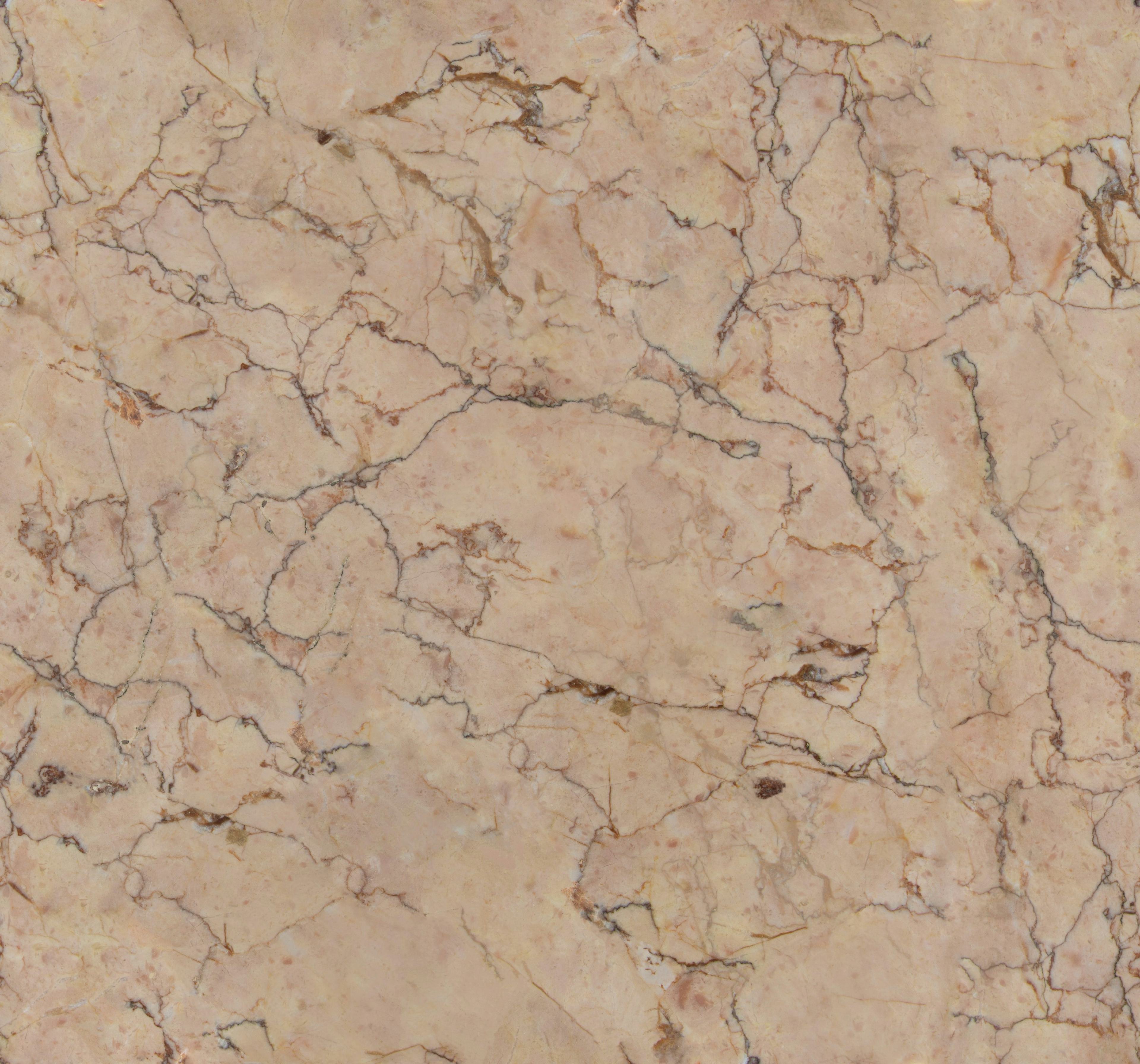 Fototapet LOOKS by Wolfgang Joop Looks Marmor 121026