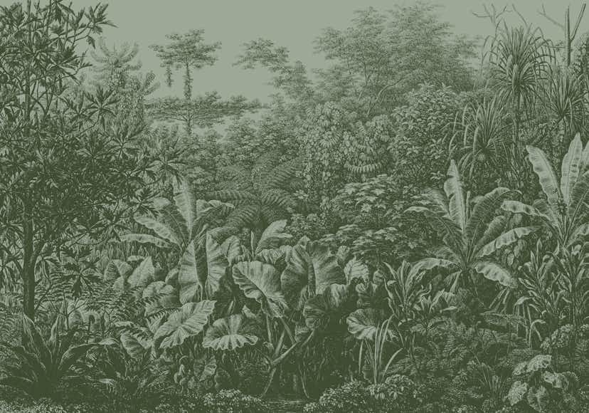 Fototapet LOOKS by Wolfgang Joop Looks Regnskog Grön 121029