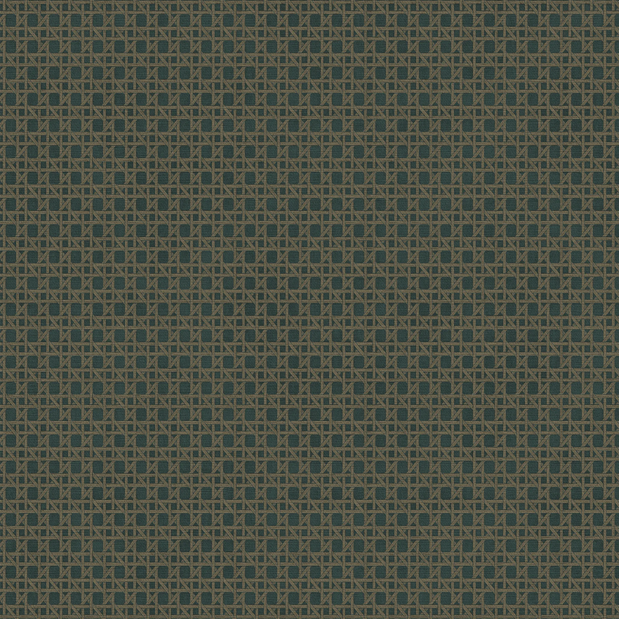 Tapet Sublime Rotan Blå Grön 121861