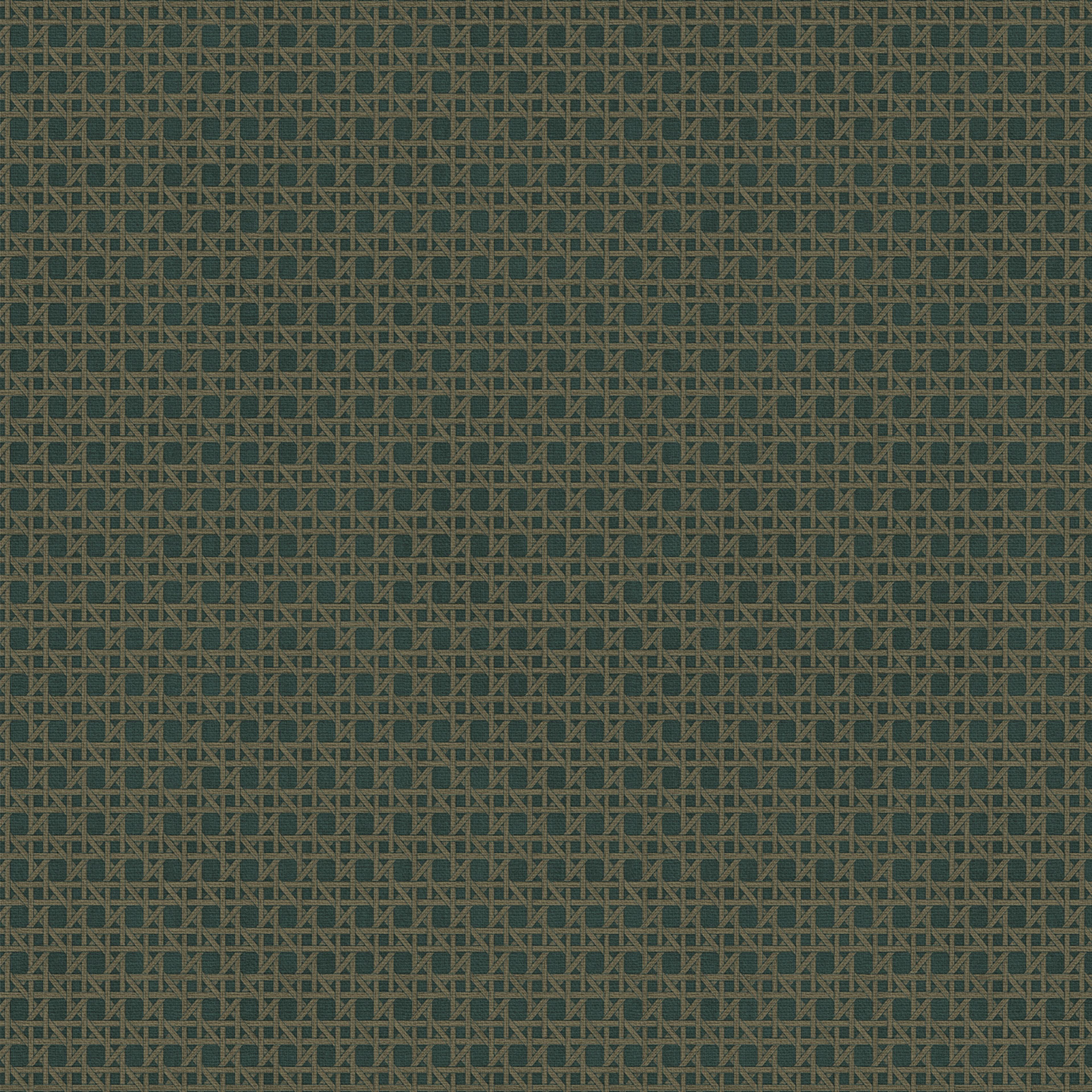 Tapet Sublime Rotan Blå Grön 121861