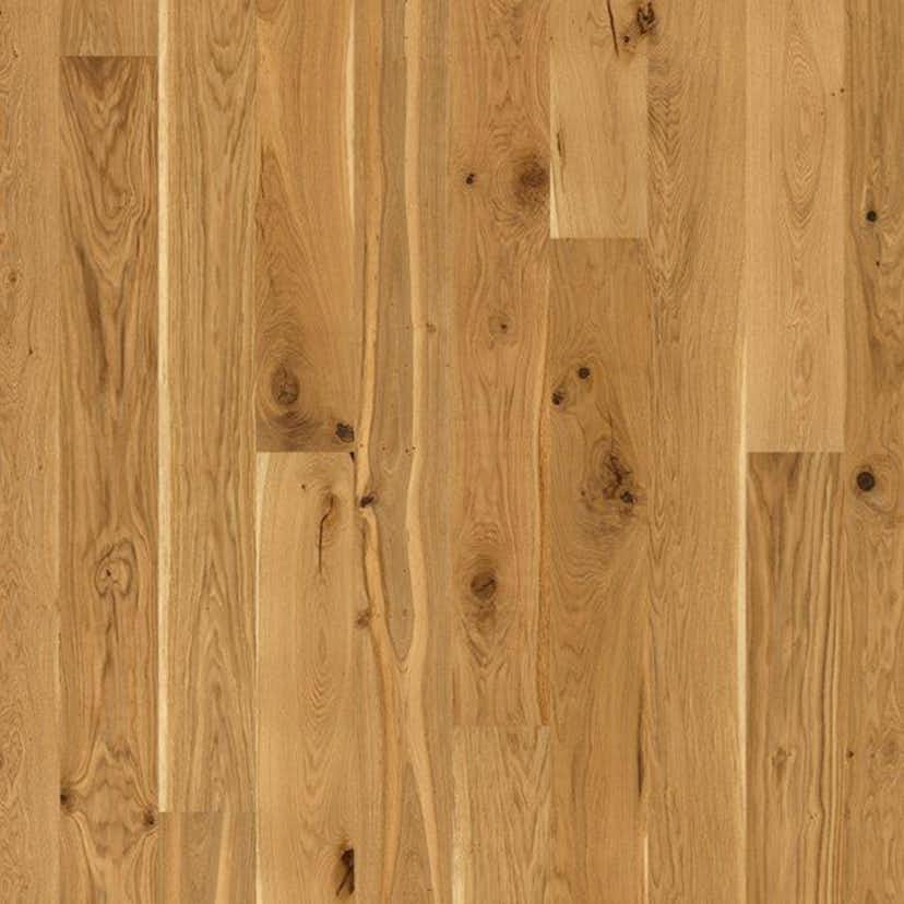 Trappnos Berg Berg Ek XXL Vild Borstad Naturolja Trapp A