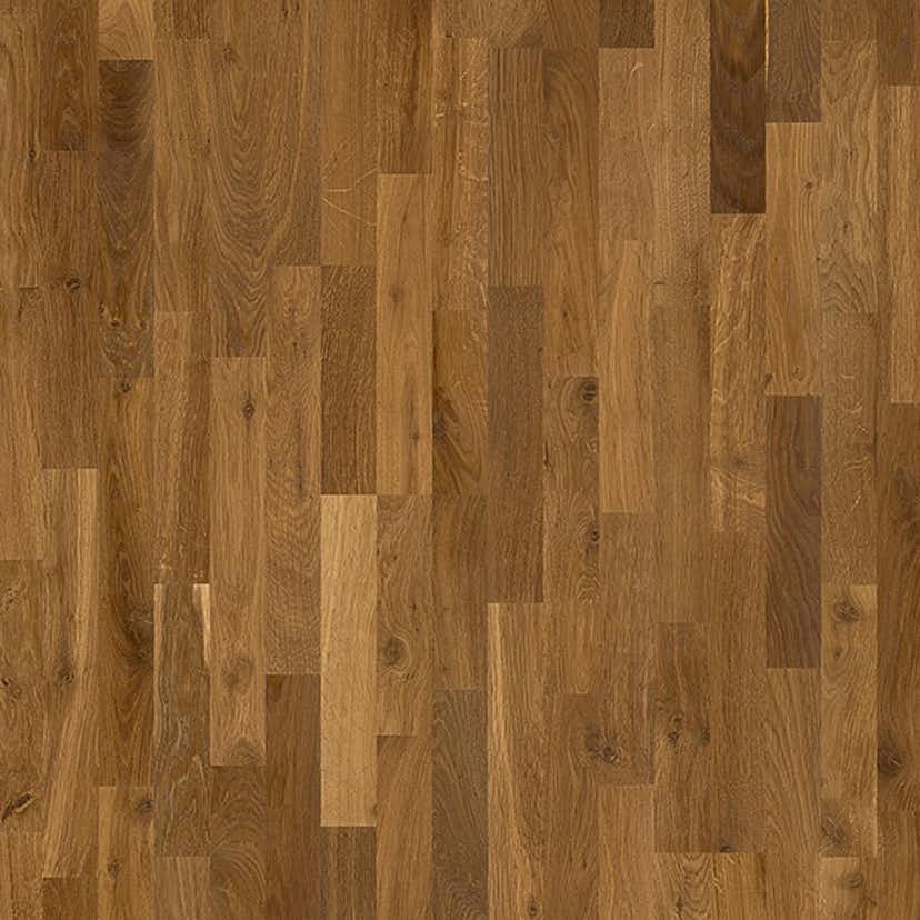 Trappnos Berg Berg Ek L Lappland Borstad Naturolja Trapp B