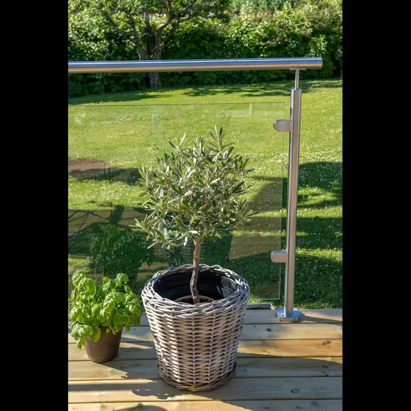 Mellanstolpe Skotte Garden Utsikt