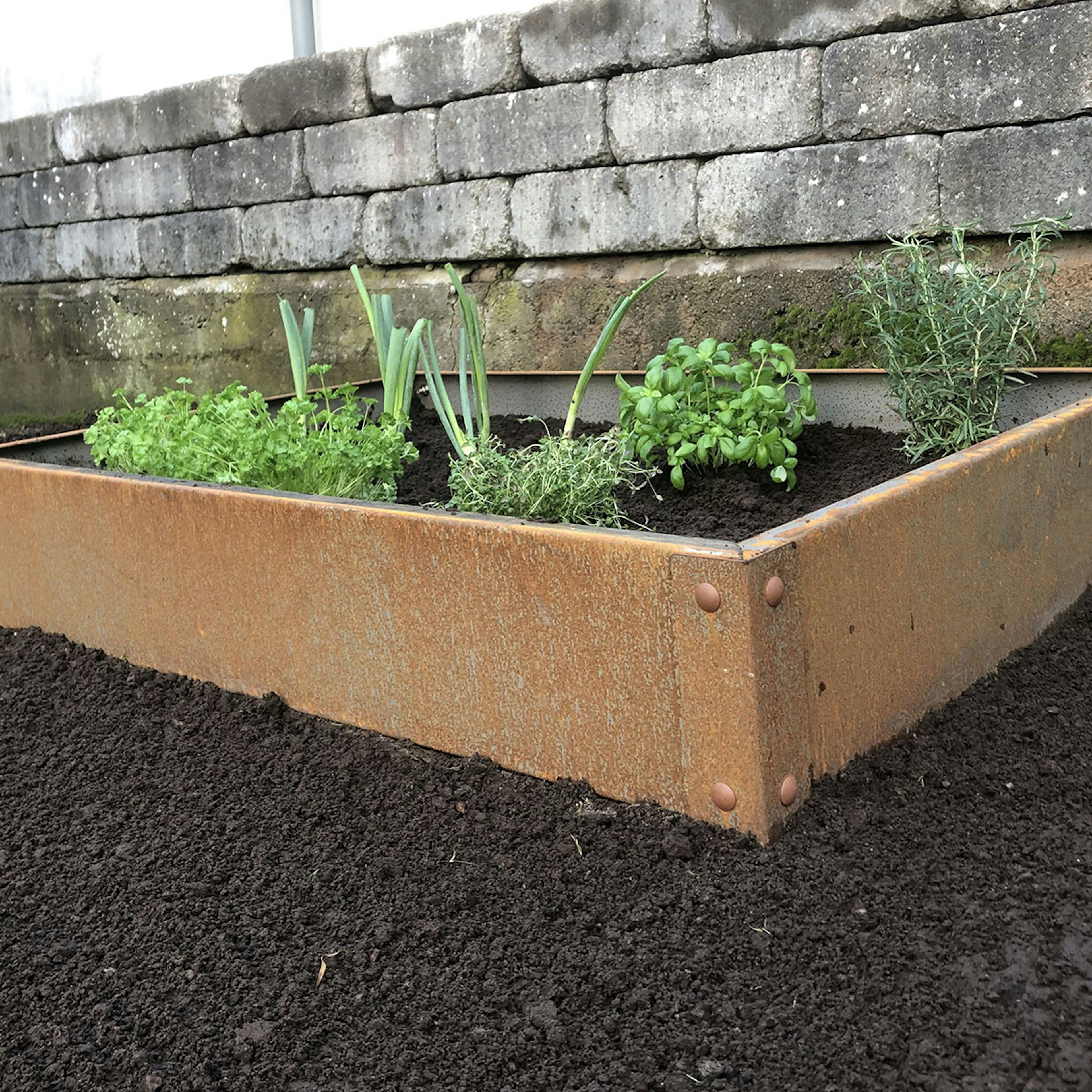 Odlingslåda Flexigarden Cortenplåt 2 mm 800x1200x200 mm