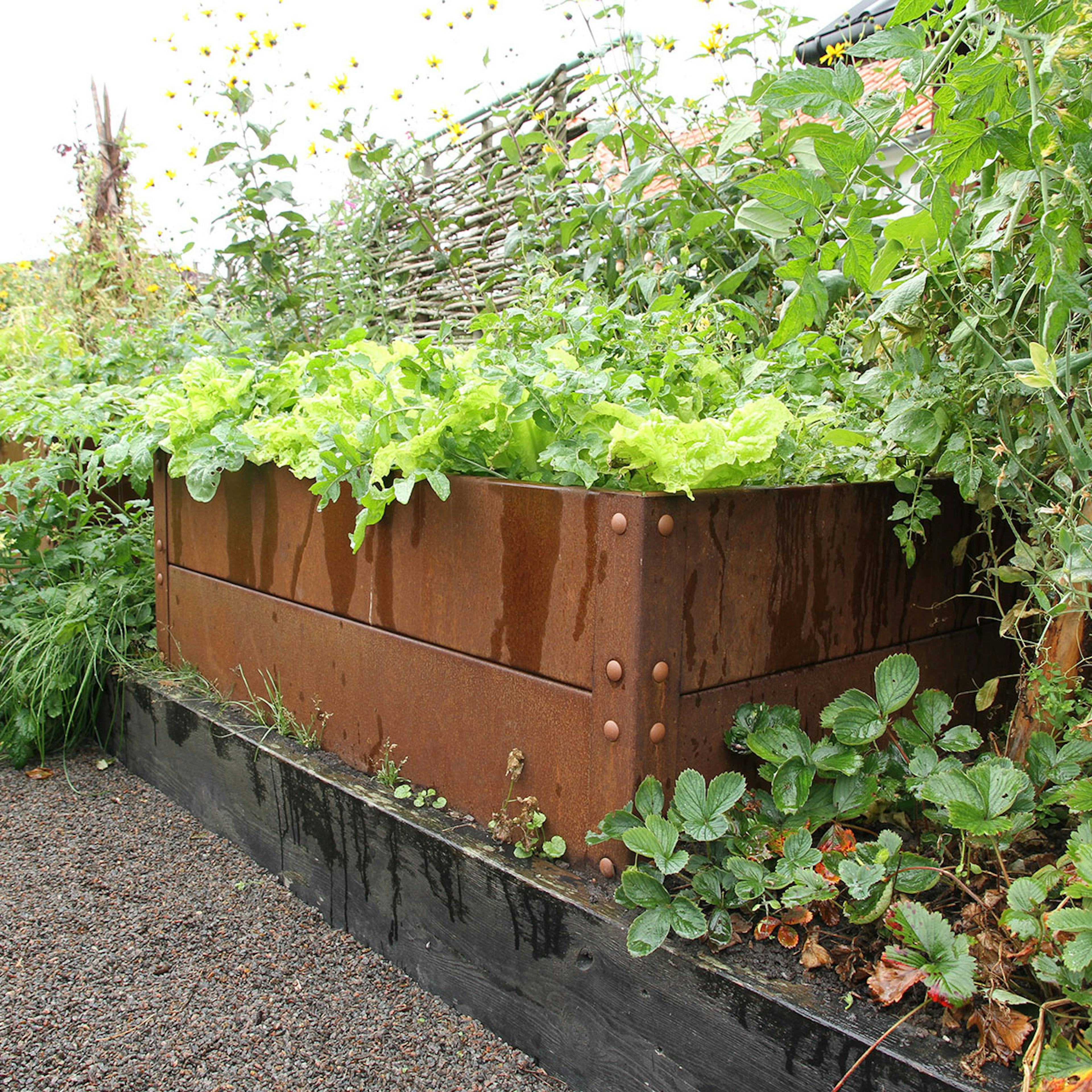 Odlingslåda Flexigarden Cortenplåt 2 mm 800x1200x400 mm