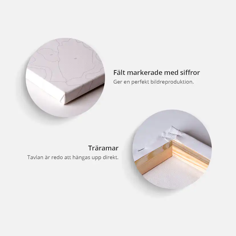 Gör-det-själv Målningar Arkiio Fight for Territory