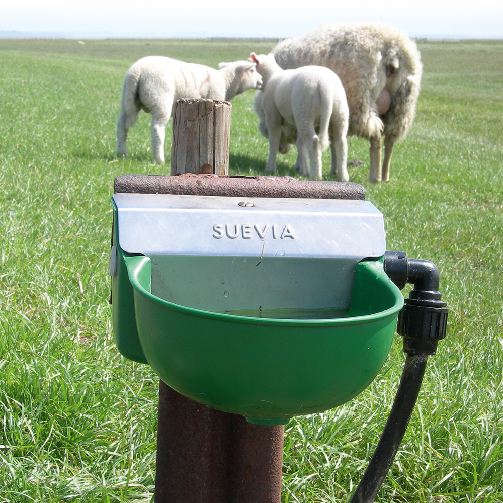 Plastflottörkopp Suevia 130 P