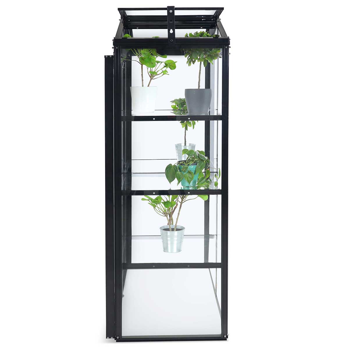 Växthus Metalcraft Svart Rektangulär Odlingsvitrin mot Vägg med Säkerhetsglas, 111x61x170 cm