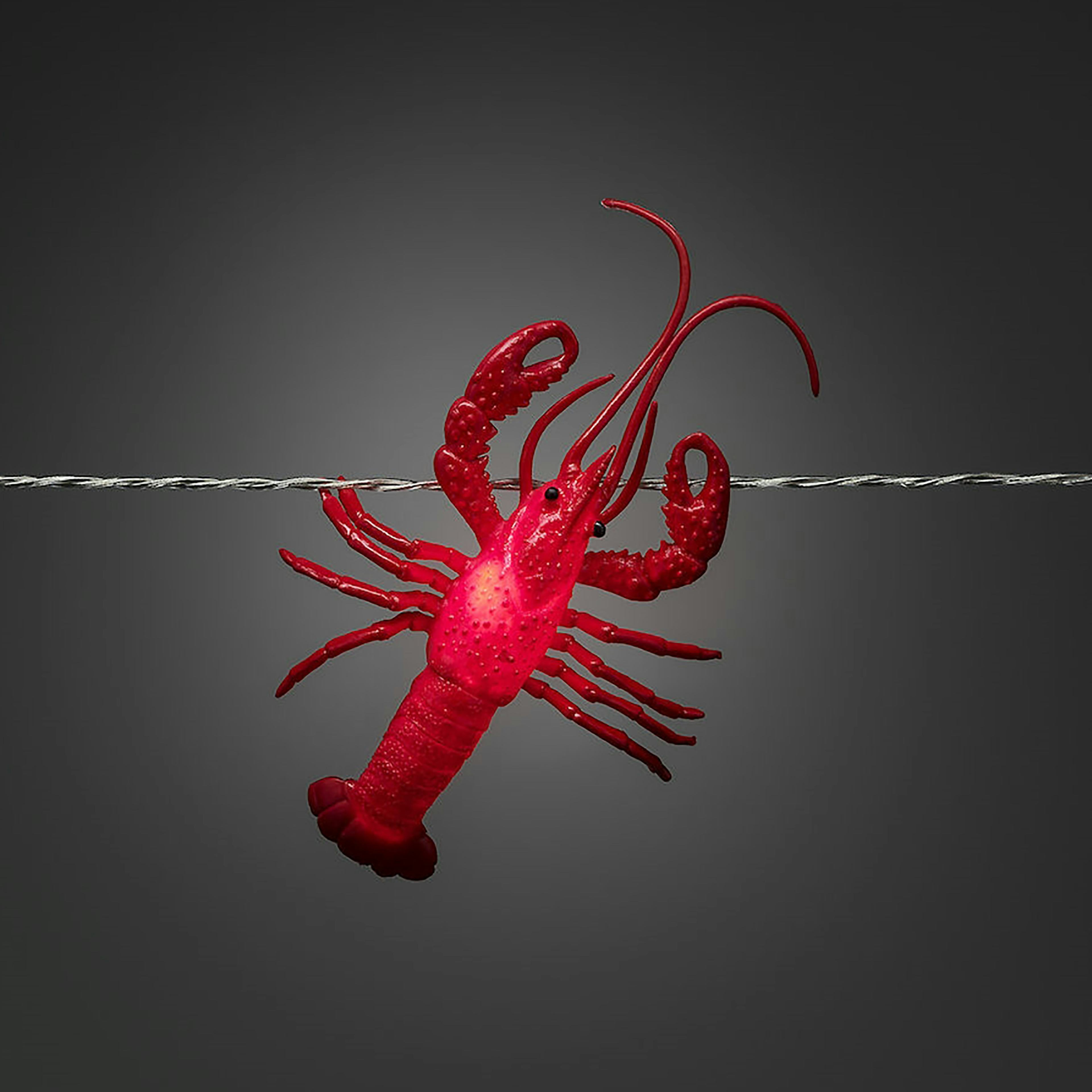 Ljusslinga Gnosjö Konstsmide Kräftor LED med Timer