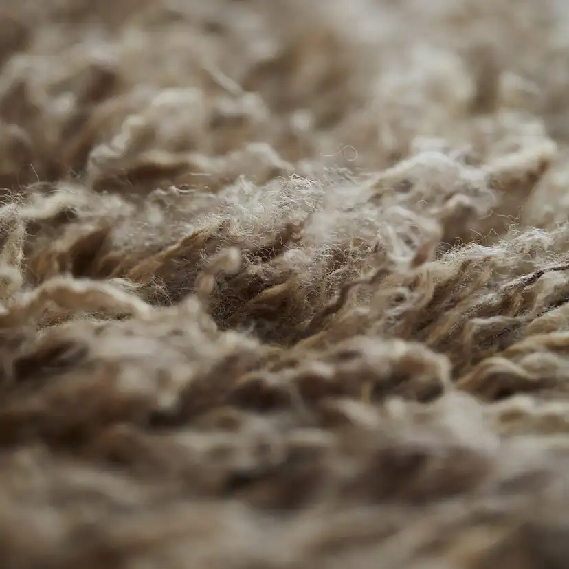 Ullmatta Svanefors Dylan