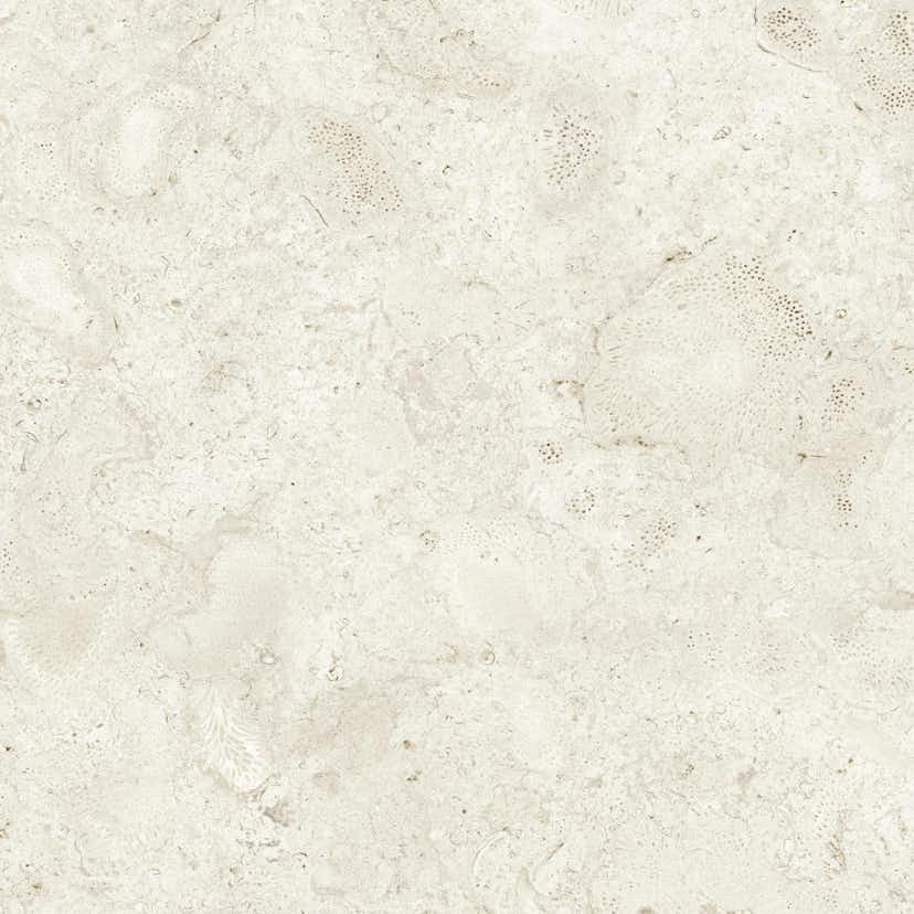 Klinker Tenfors Coralina Bone Matt 60x60 cm