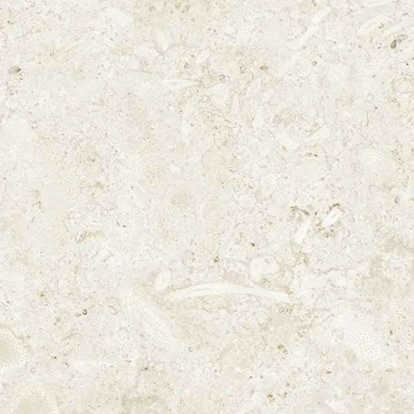Klinker Tenfors Coralina Bone Matt 60x60 cm