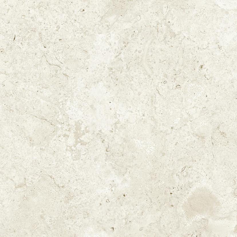 Klinker Tenfors Coralina Bone Matt 60x60 cm