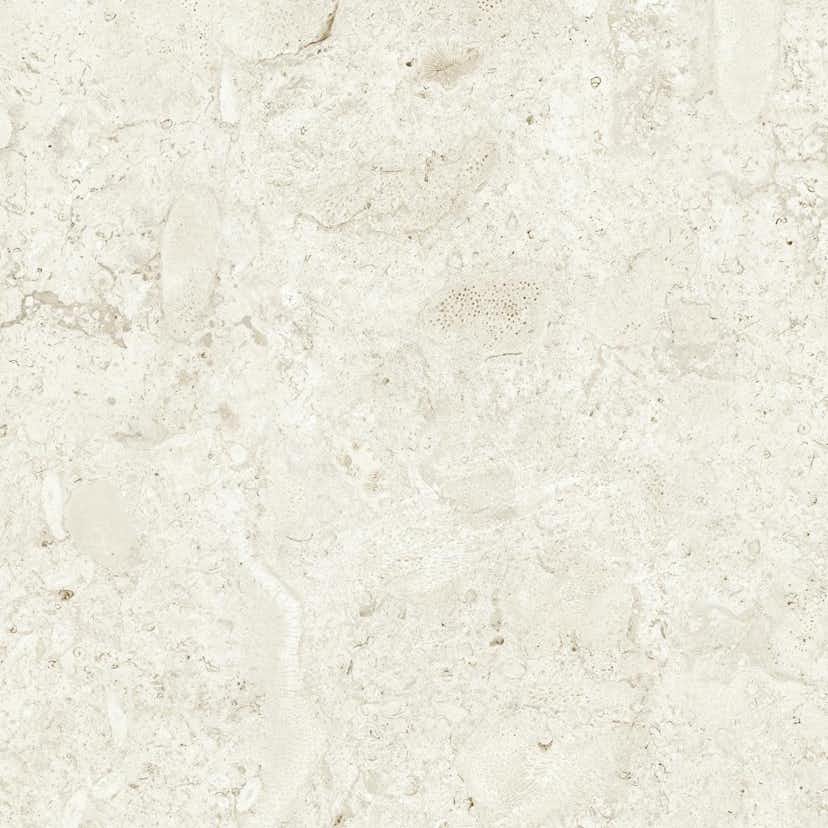 Klinker Tenfors Coralina Bone Matt 60x60 cm