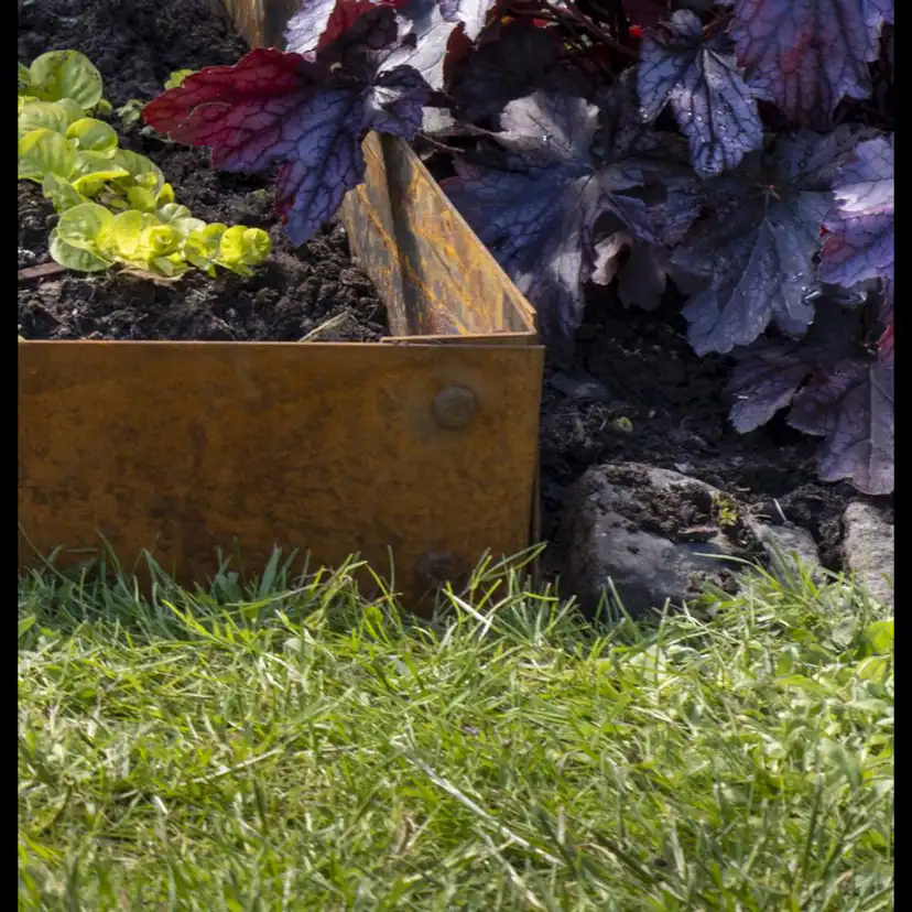 Skarvsats Skotte Garden Vinkel 4-pack