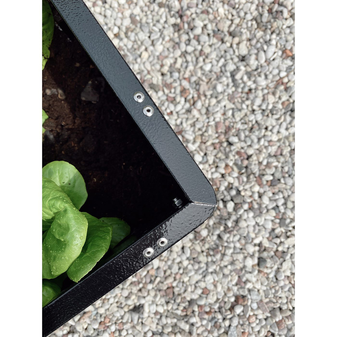 Snigelkant Jabo Odla Halvpallskrage 80x60 cm