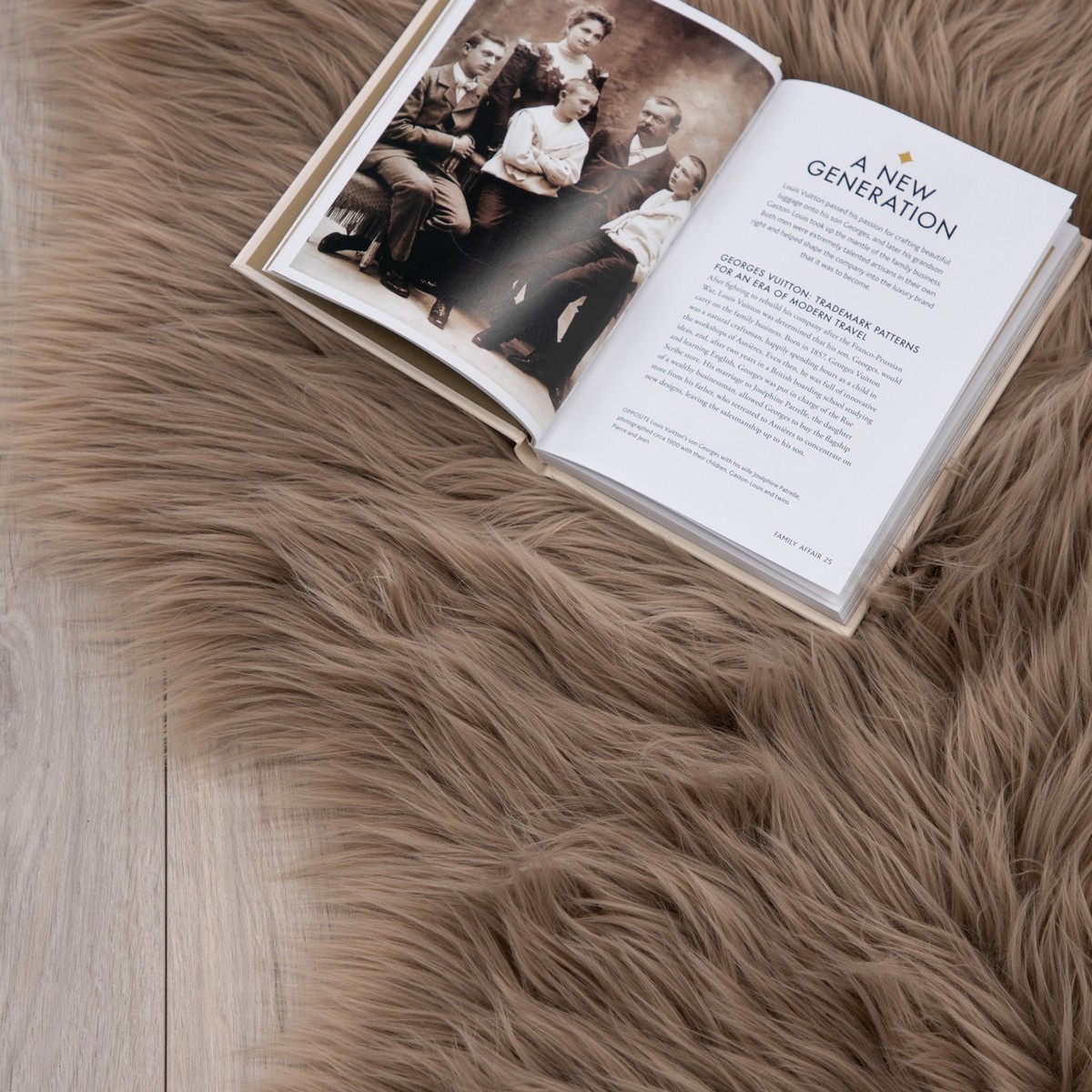 Konstfäll Venture Home Katy