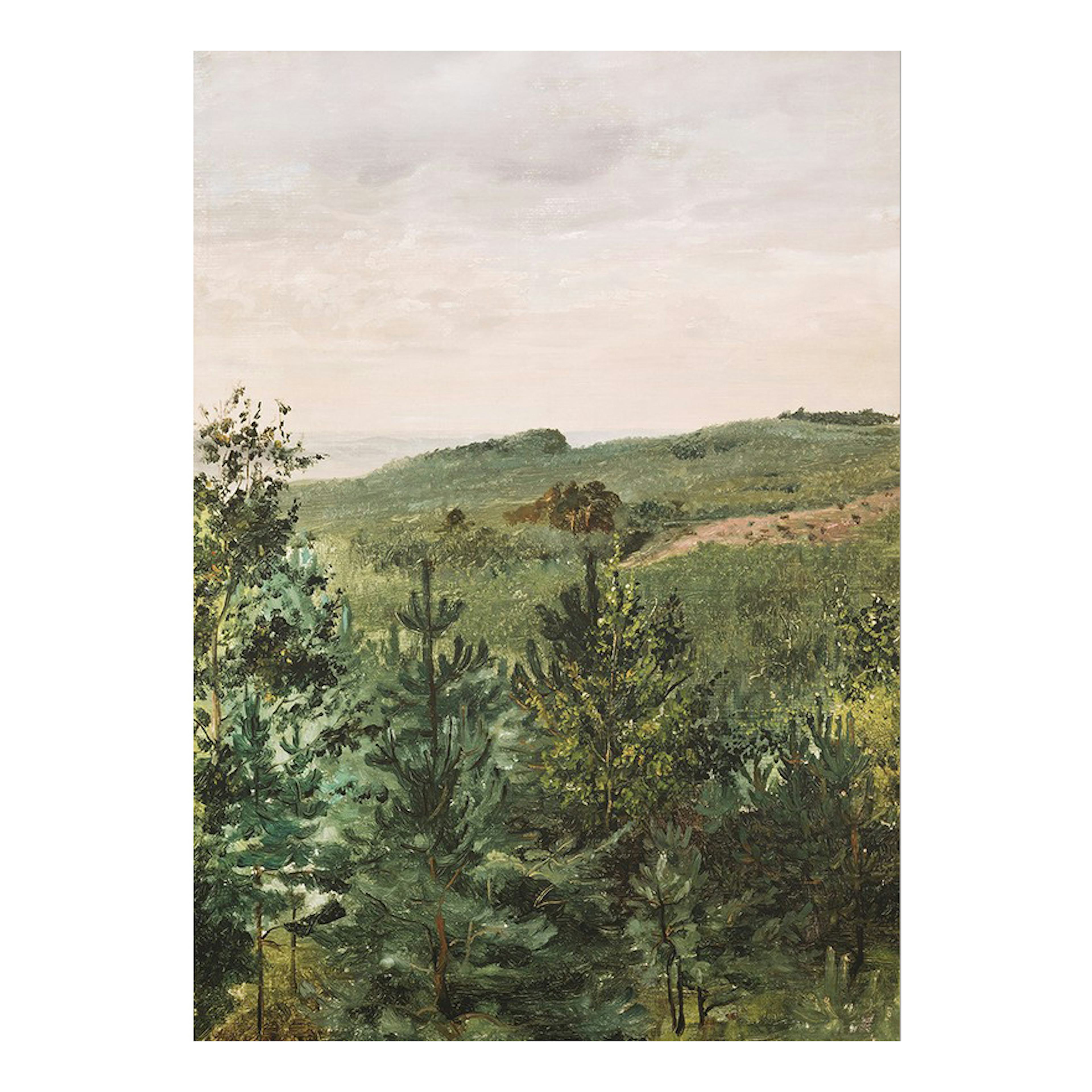 Poster Gallerix Spruce Saplings in Sandy Soil Study By Werner Holmberg