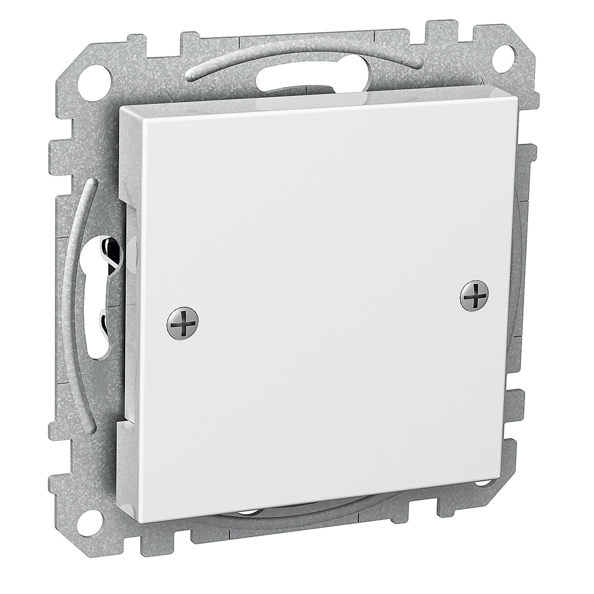 Centrumplatta Schneider Electric Exxact