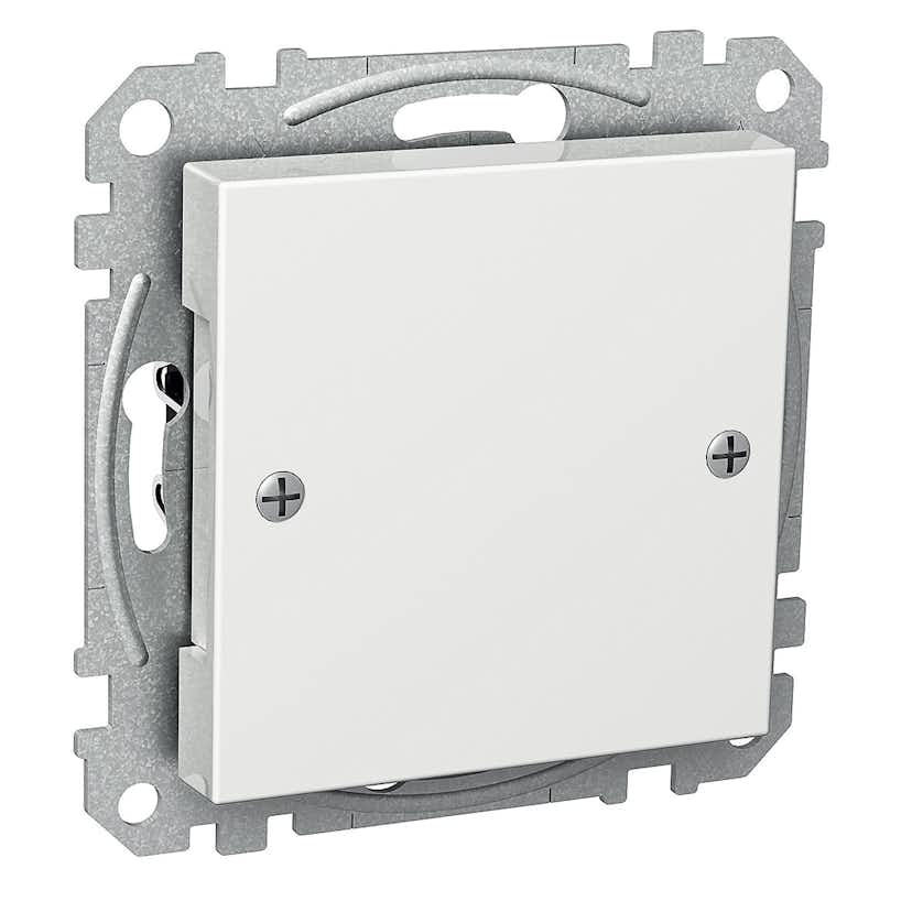 Centrumplatta Schneider Electric Exxact