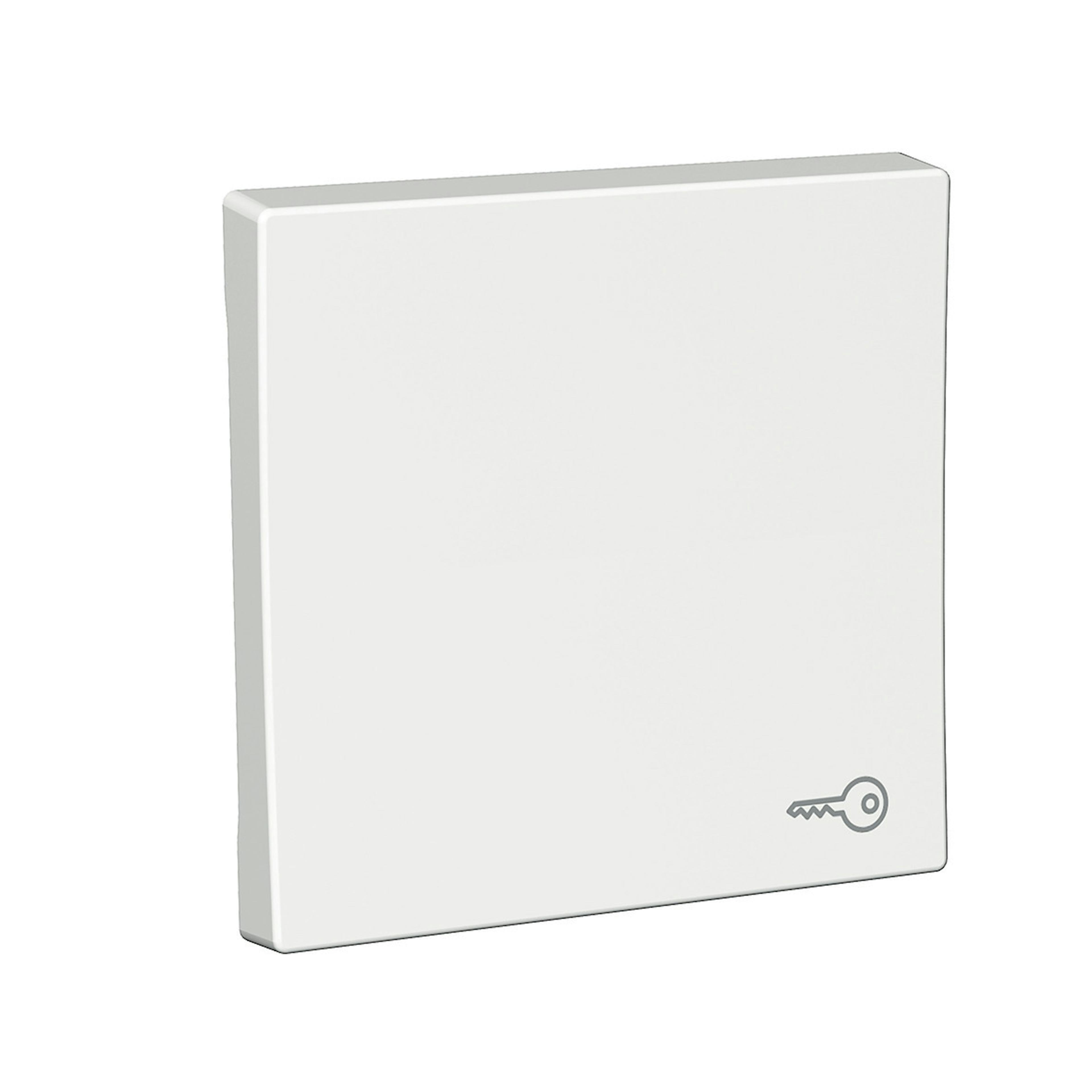 Strömbrytare Schneider Electric Exxact Nyckelsymbol