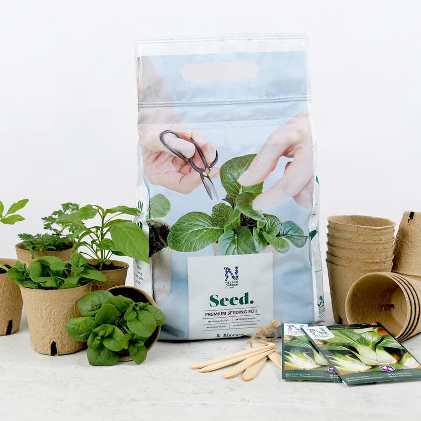 Såjord Nelson Garden Premium 4L - Allsidig för Optimal Odling, Premiumjord