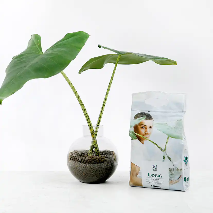 Lecakulor Nelson Garden 4L