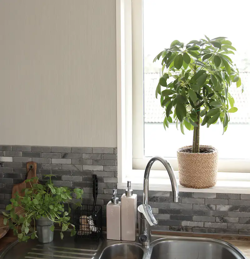 Tapet Fiona Fiona Home NW Modern Lines 201603