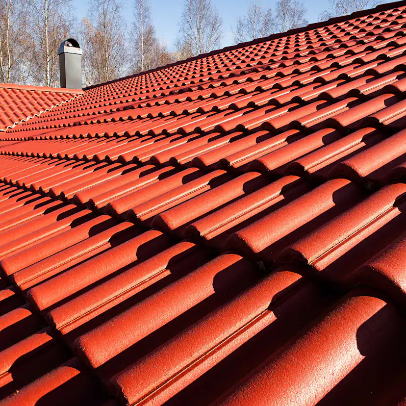 Tvåkupig Takpanna S:t Eriks Mjöbäck Blank