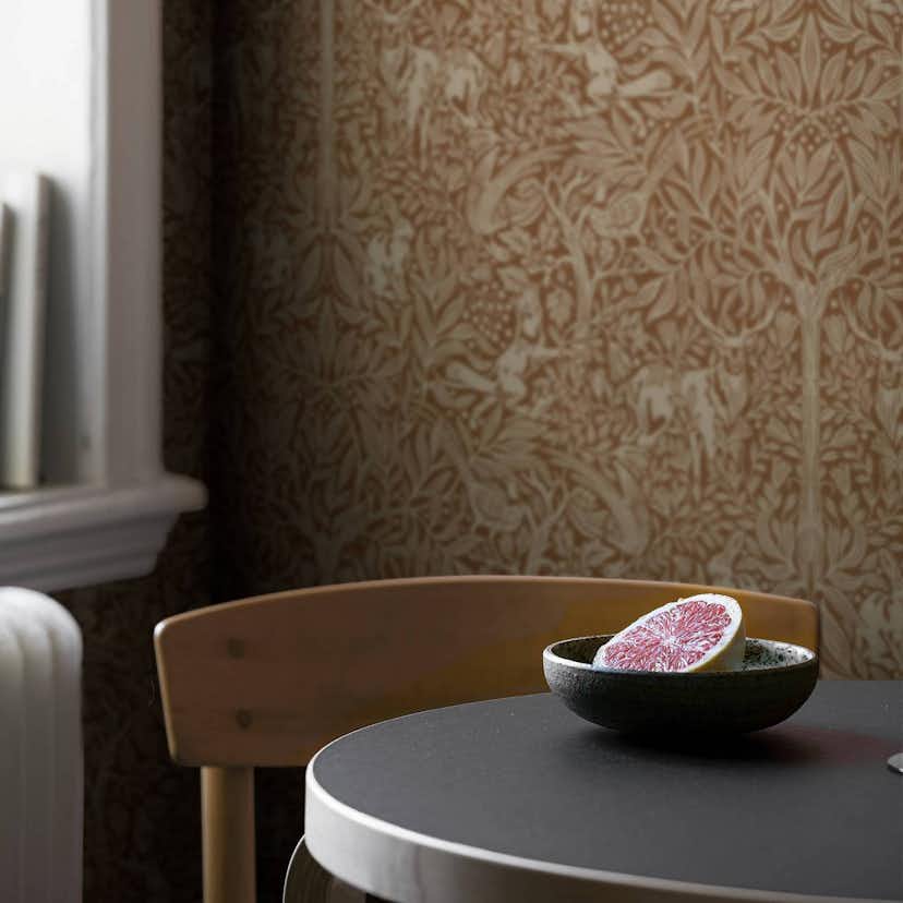 Tapet Boråstapeter Under the Elder Tree 2045