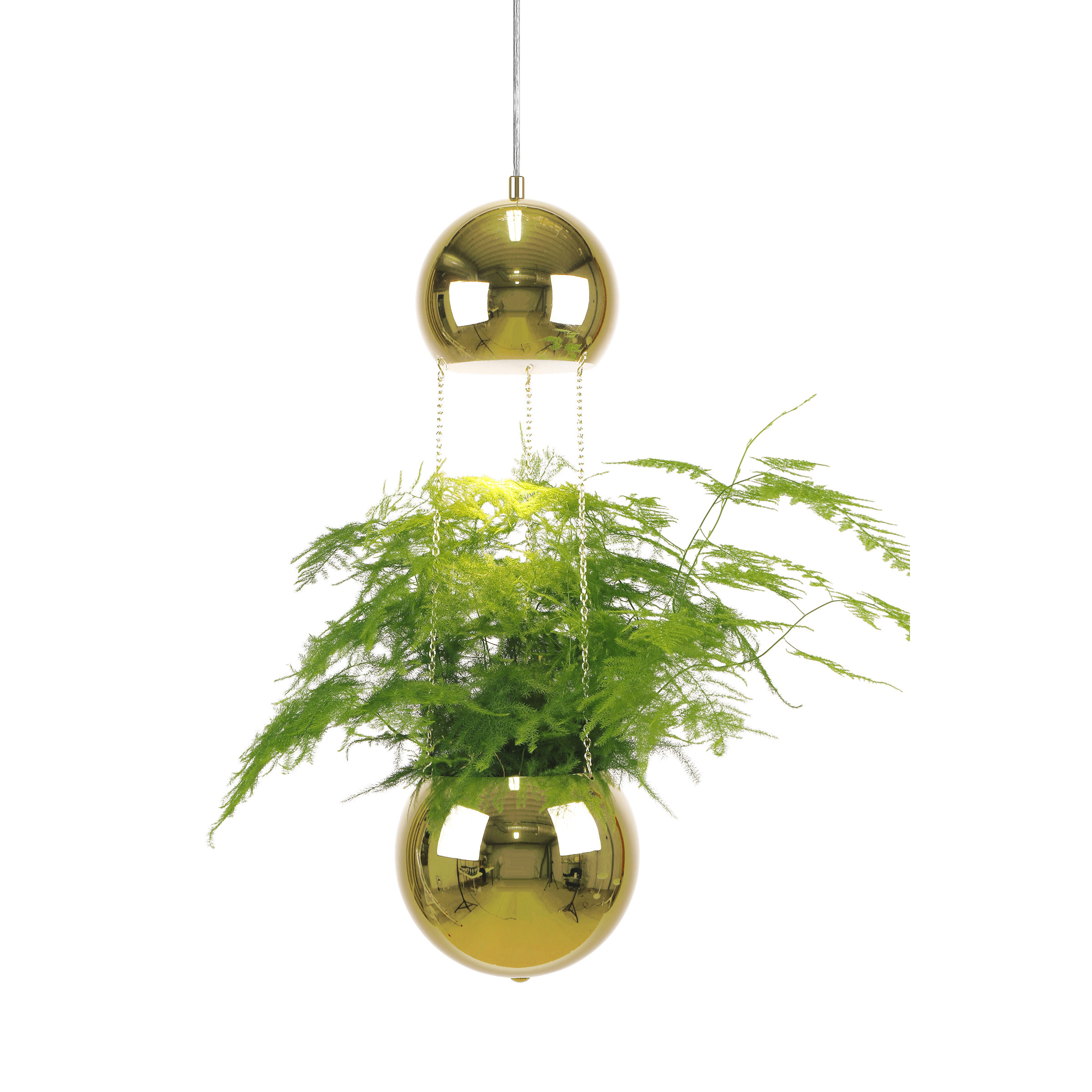 Fönsterlampa Globen Lighting Planter