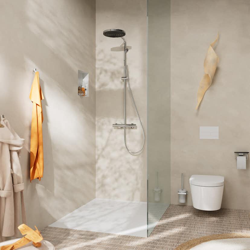 Takduschset Hansgrohe Pulsify S Puro Showerpipe 260 1jet med Ecostat Fine 160cc