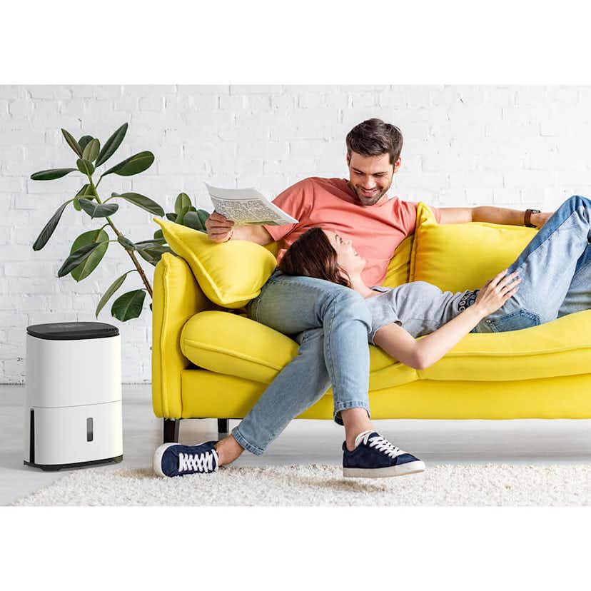 Avfuktare och Luftrenare Meaco MeacoDry Arete One 10L