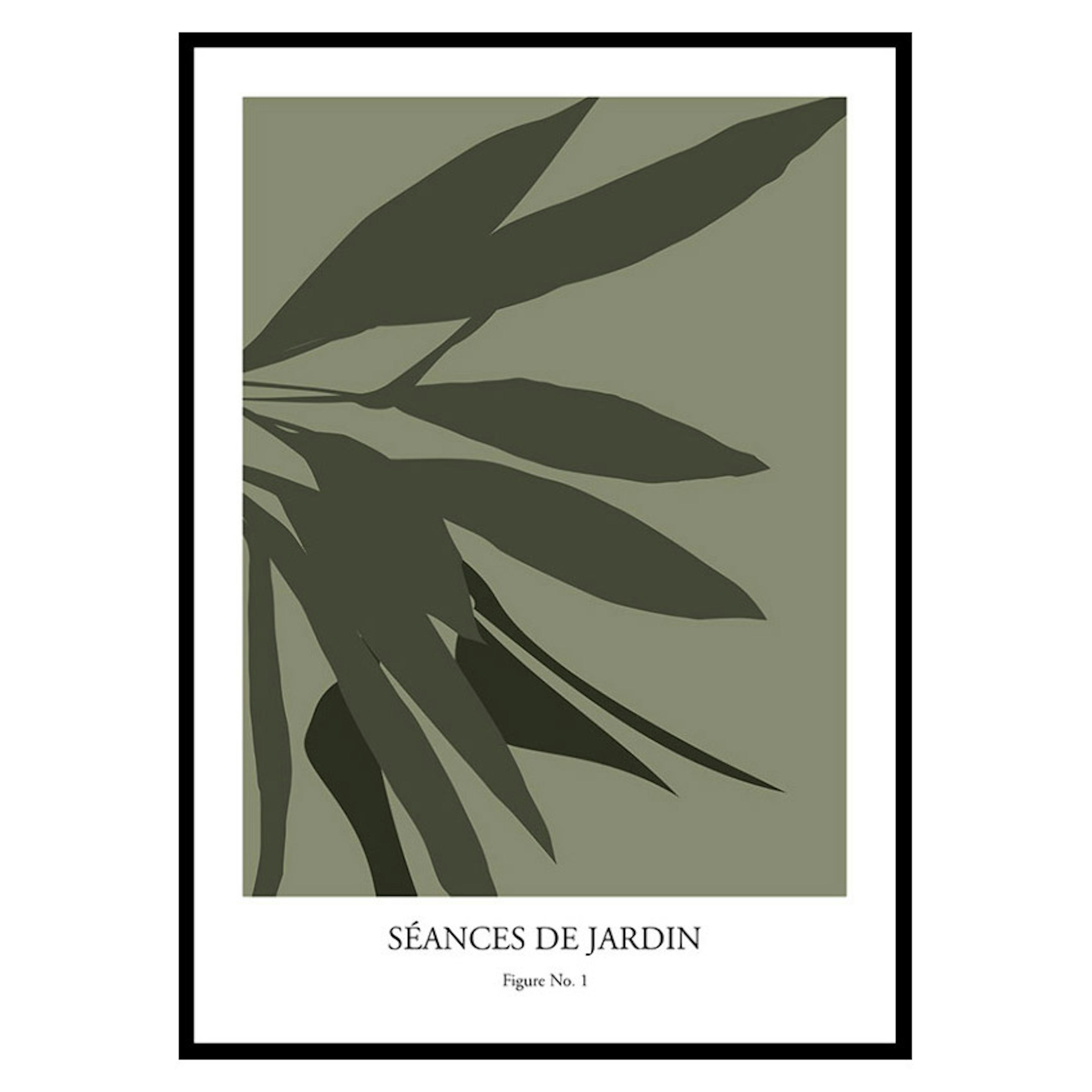 Poster Gallerix Botanical Graphic No1