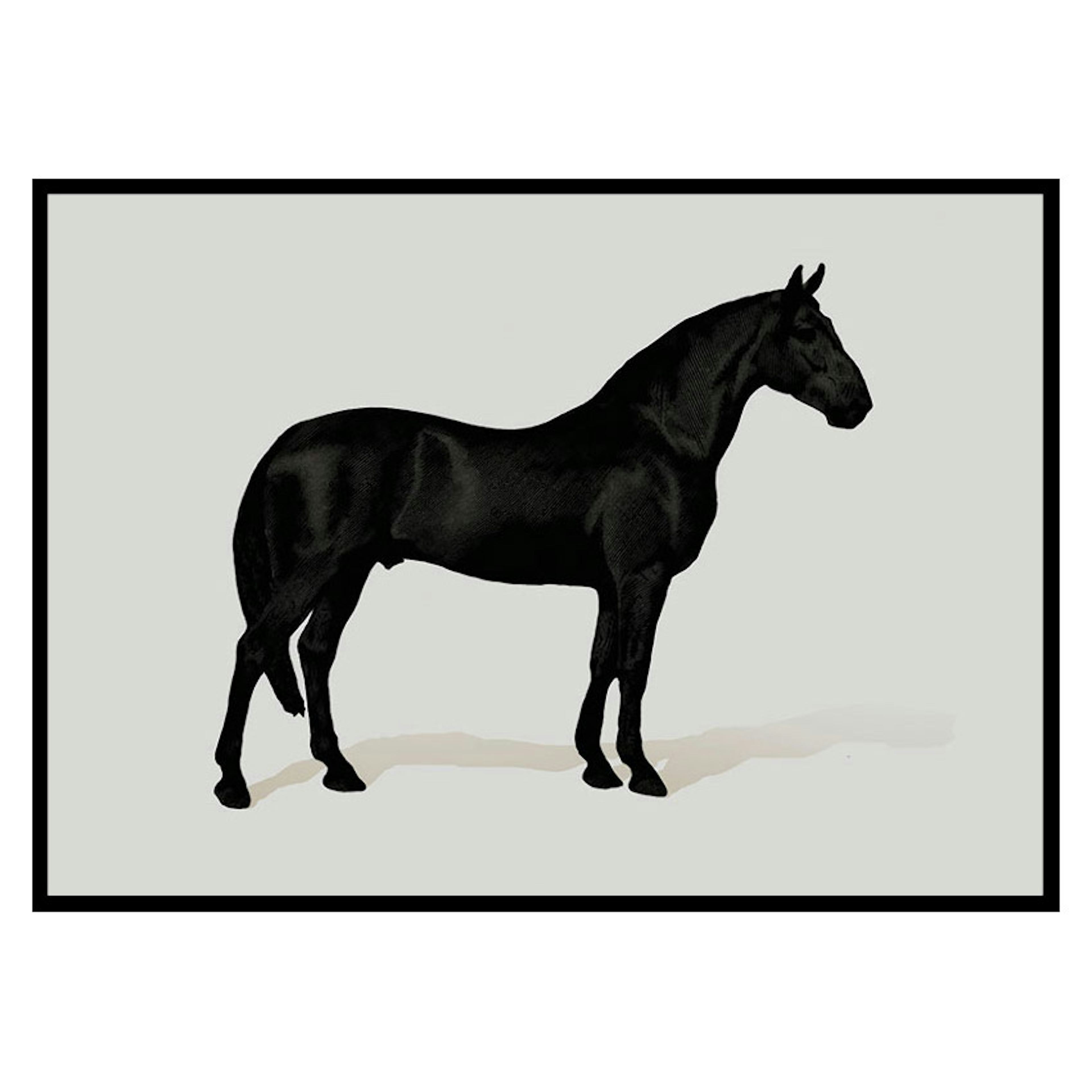 Poster Gallerix Black Horse Land. Drawing