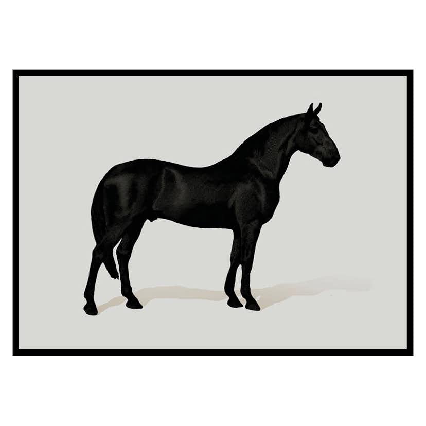 Poster Gallerix Black Horse Land. Drawing