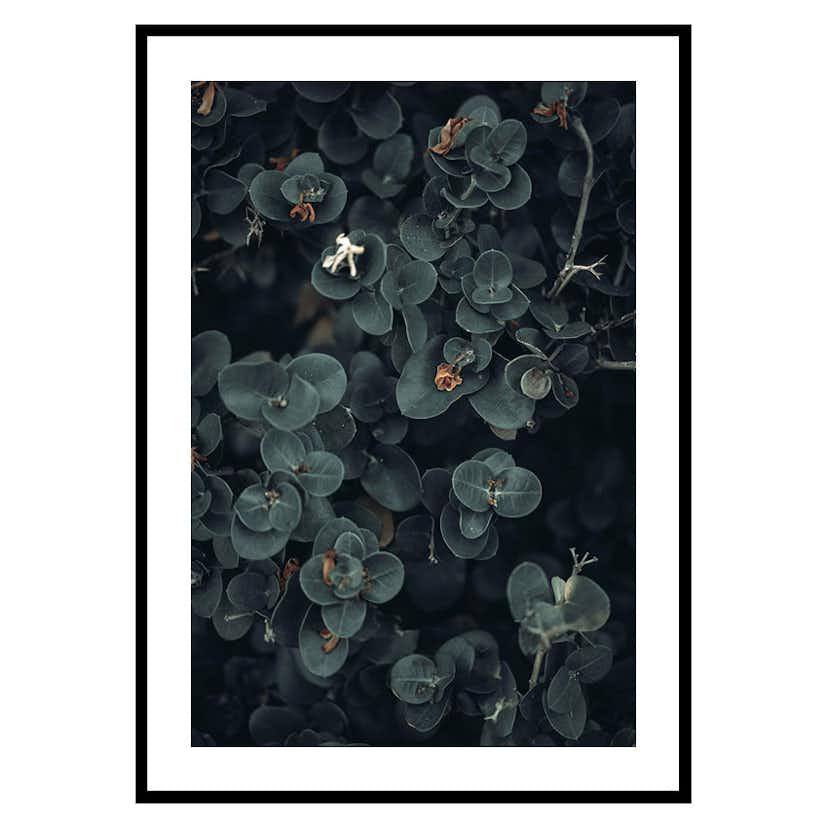 Poster Gallerix Dark And Green Botanical