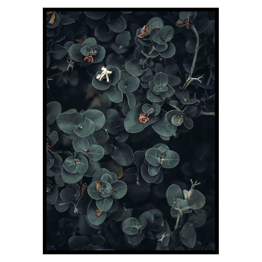 Poster Gallerix Dark And Green Botanical