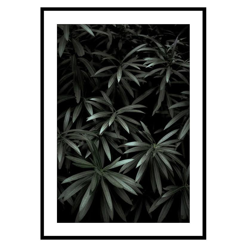 Poster Gallerix Dark Green No1