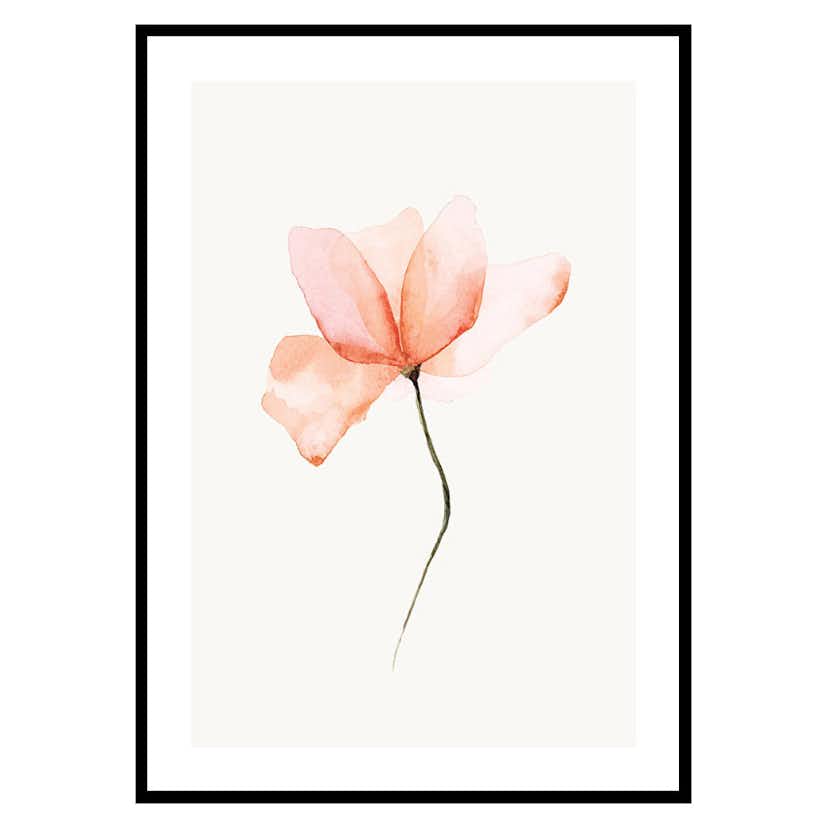 Poster Gallerix Watercolor Flower
